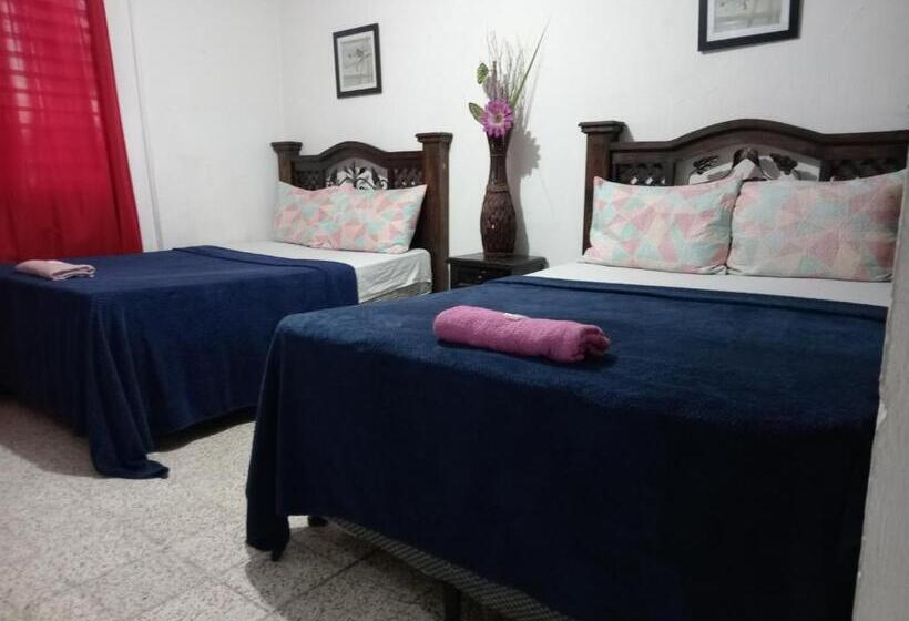 اتاق اکونومی, Historico Maya