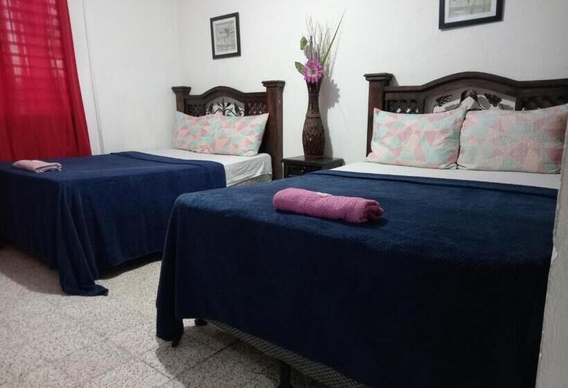 اتاق اکونومی, Historico Maya