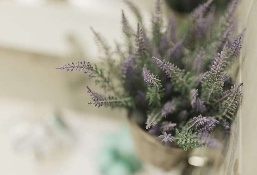 اتاق راحتی سه تخته, Giulietta Nei Sassi