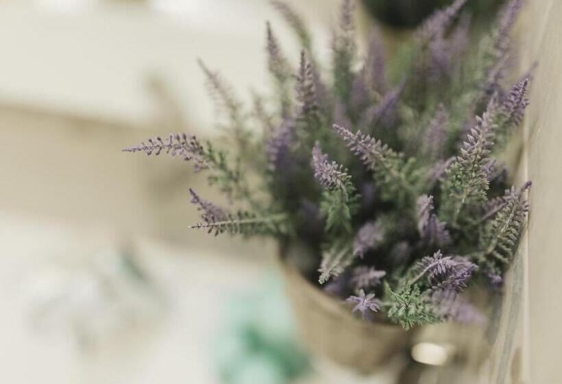 اتاق راحتی سه تخته, Giulietta Nei Sassi