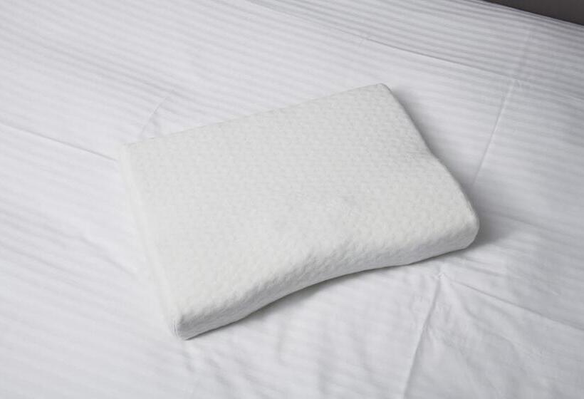 带双人床的基本房间, Henn Na Hotel Tokyo Hamamatsucho