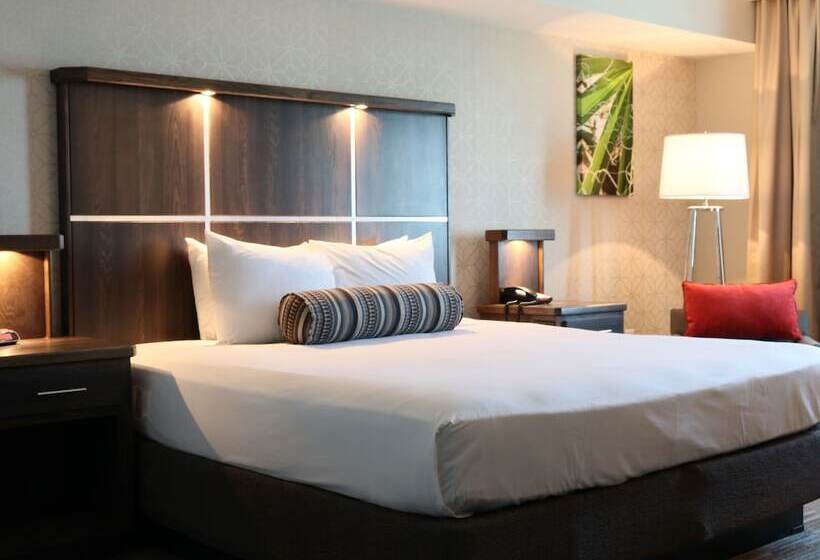 اتاق لوکس, Avi Resort & Casino