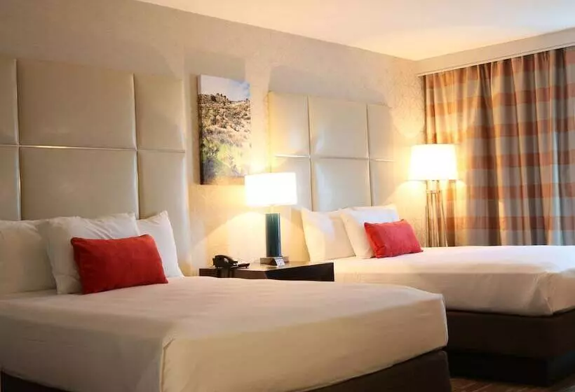 اتاق لوکس, Avi Resort & Casino