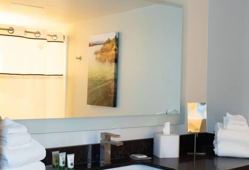 غرفة ديلوكس, Avi Resort & Casino