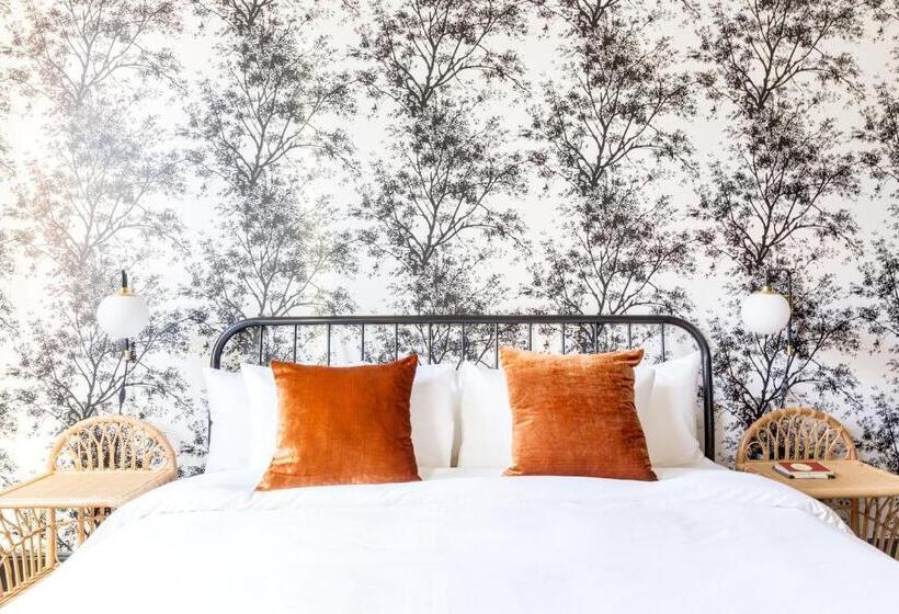 اتاق استاندارد با تخت بزرگ, Sonder Hayes Valley