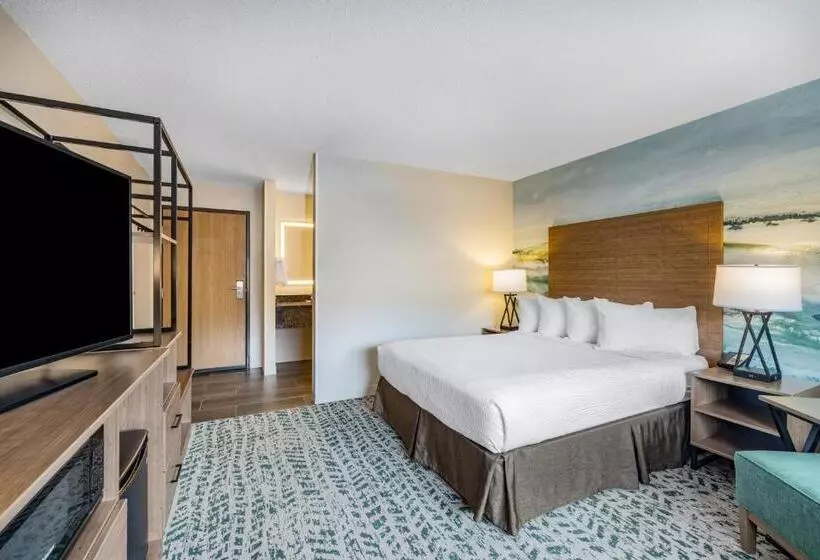 Standard-invahuone, Americinn By Wyndham Duluth South Proctor Black Woods Event Ctr