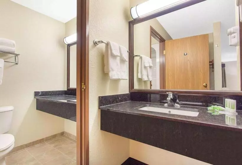 اتاق لوکس با تخت بزرگ, Americinn By Wyndham Rhinelander
