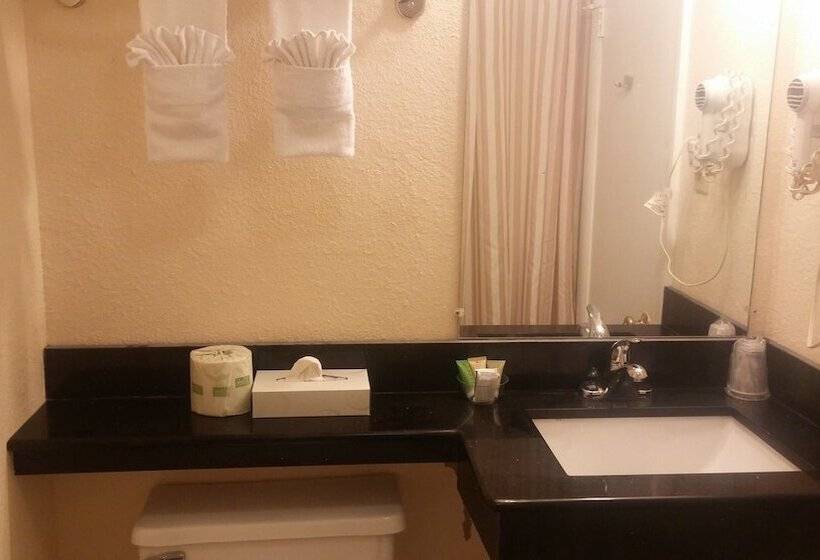 غرفه قياسيه سريرين مزدوجين, Anchorage Inn Rochester