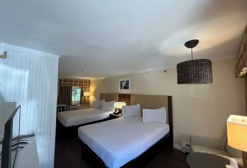 ２ダブルベッドのスタンダードルーム, Anchorage Inn Rochester