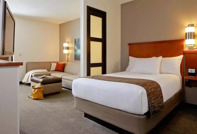 Standard-huone King-vuode, Hyatt Place Richmond Arboretum