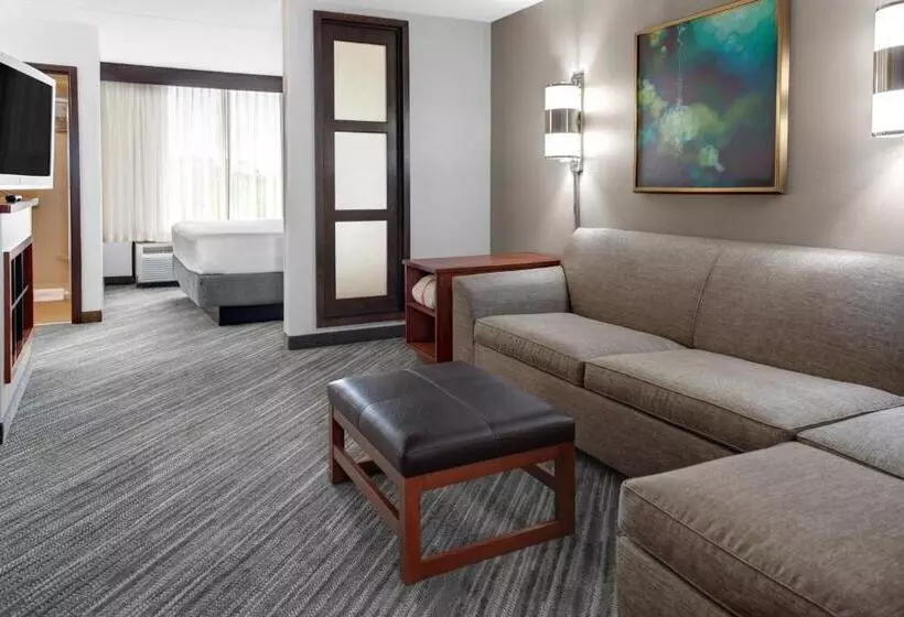 身障者適用キングサイズベッドルーム, Hyatt Place Secaucus