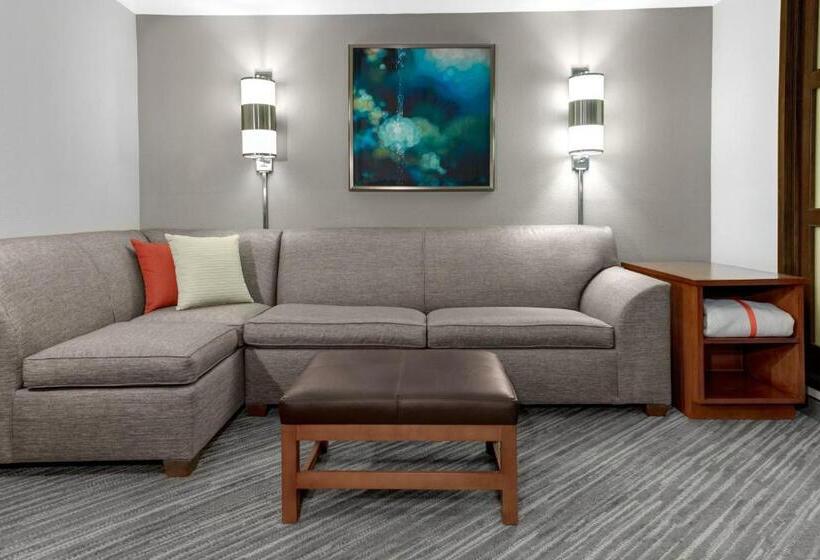 غرفة قياسية سرير كينج لذوى الإحتياجات الخاصة, Hyatt Place Secaucus