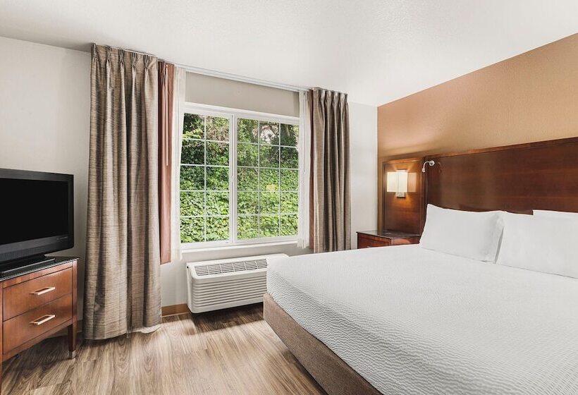 小型套房, The Ashley Inn & Suites