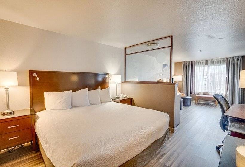 小型套房, The Ashley Inn & Suites