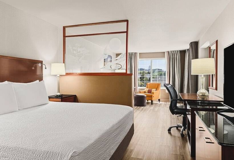 小型套房, The Ashley Inn & Suites