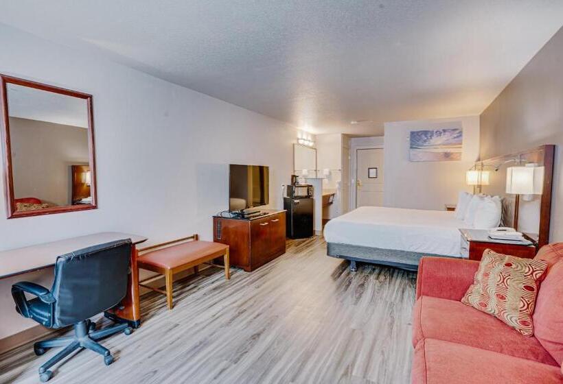 带大床的标准间, The Ashley Inn & Suites