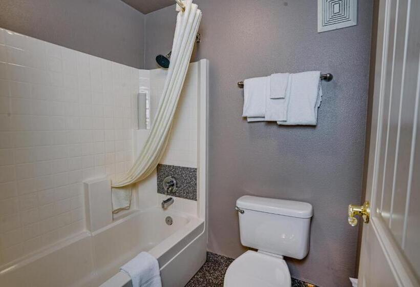 Номер Стандарт, The Ashley Inn & Suites
