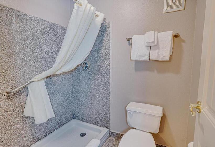 带大床的套房, The Ashley Inn & Suites