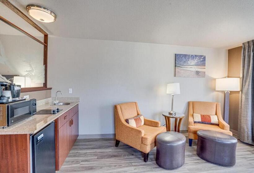 带大床的套房, The Ashley Inn & Suites