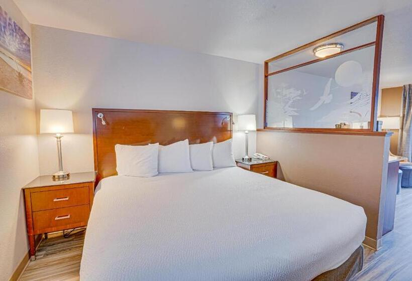 带大床的套房, The Ashley Inn & Suites