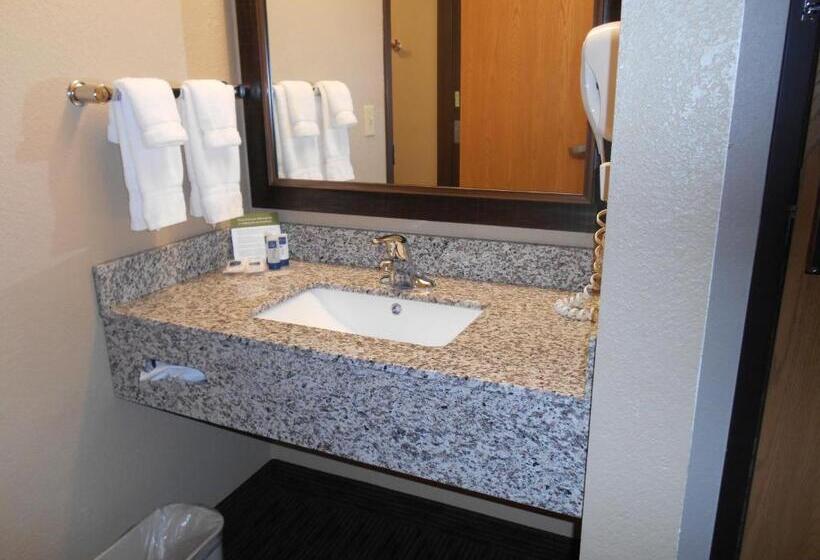 جناح ديلوكس سرير كينج, Americinn By Wyndham Bay City