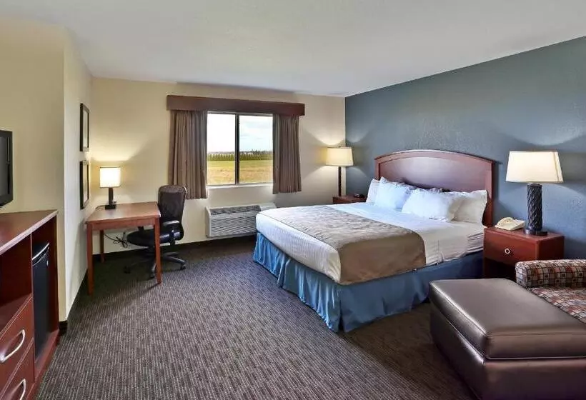キングサイズベッドのデラックススイート, Americinn By Wyndham Bay City