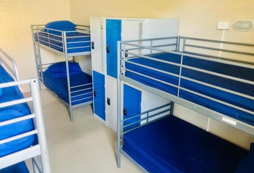 تختخواب در اتاق مشترک, Newtown Backpackers