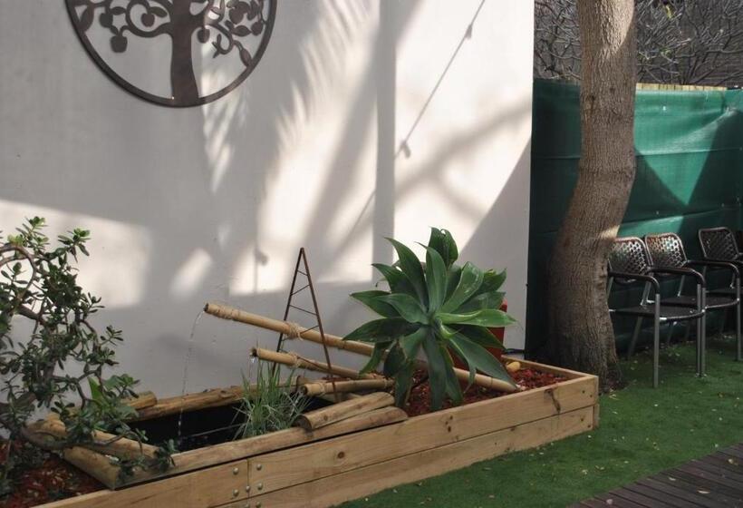 اتاق استاندارد سه تخته با سرویس بهداشتی مشترک, Newtown Backpackers