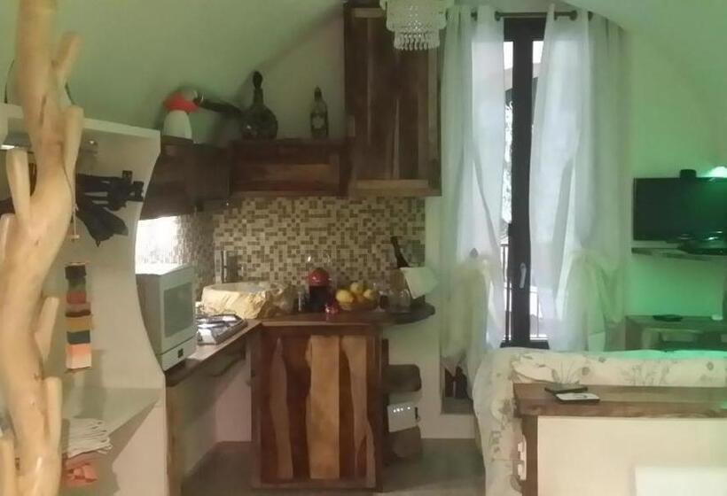 标准工作室, B&b Il Libro Verde