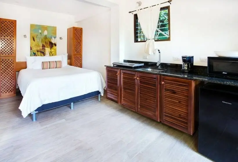 シングルデラックスルーム, Villas Nicolás   Adults Only