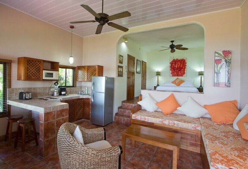 オーシャンビュースイート, Villas Nicolás   Adults Only