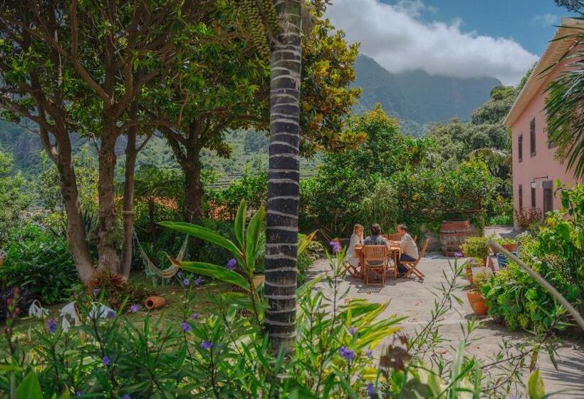 غرفة قياسية, Madeira Surf Lodge