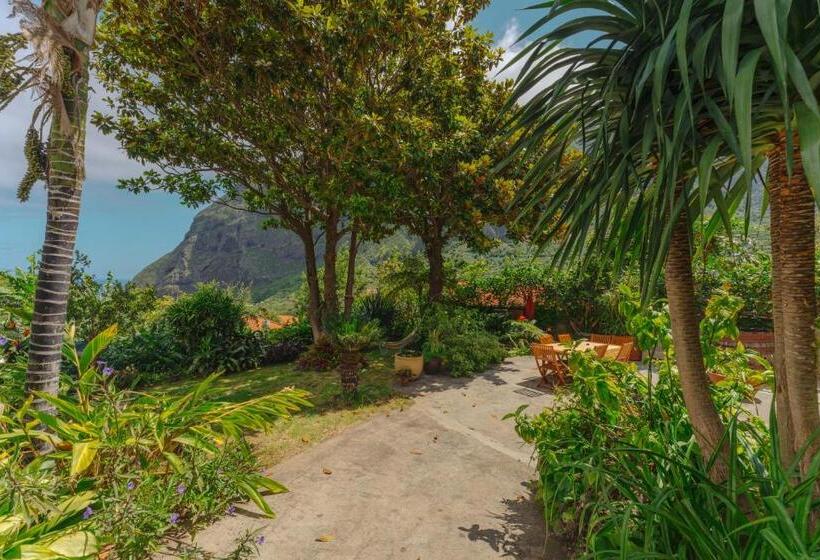 Suite with Terrace, Madeira Surf Lodge