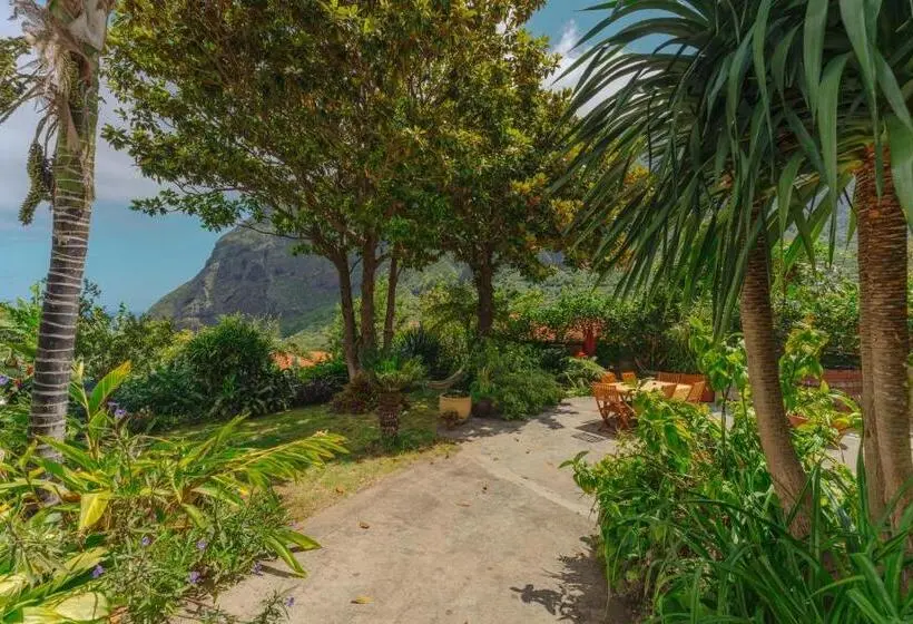 Suite with Terrace, Madeira Surf Lodge