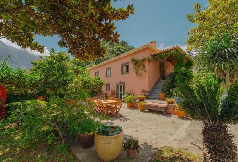 جناح مزود بتراس, Madeira Surf Lodge