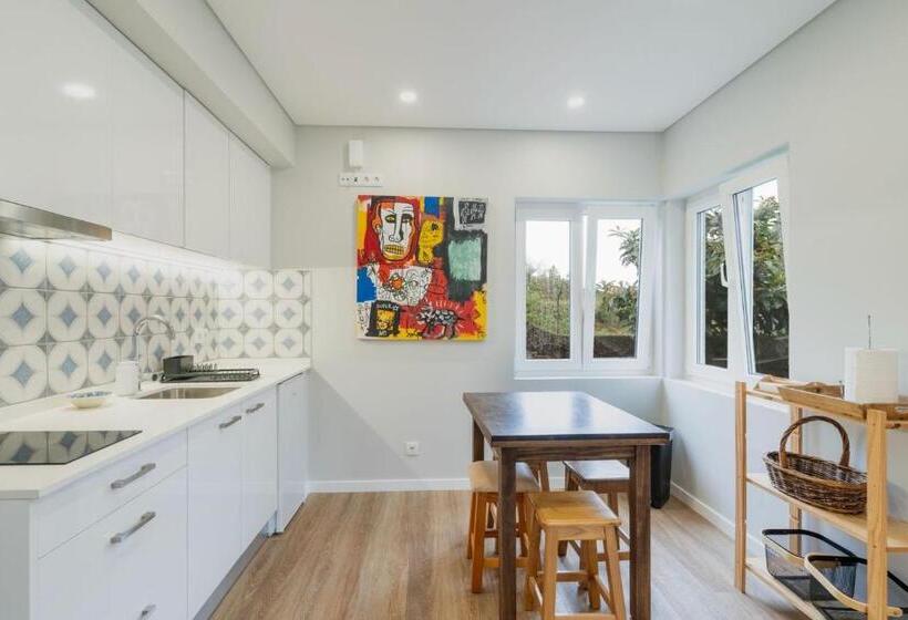 غرفة أساسية, Madeira Surf Lodge