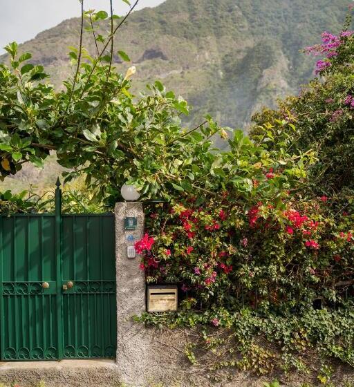 اتاق عادی, Madeira Surf Lodge