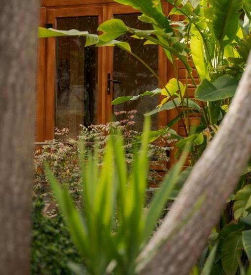 بنجلو قياسى مطلّ علي الحديقة, Madeira Surf Lodge