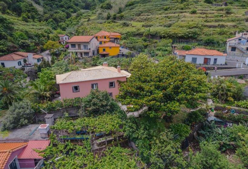 ویلای استاندارد با چشم‌انداز باغ, Madeira Surf Lodge