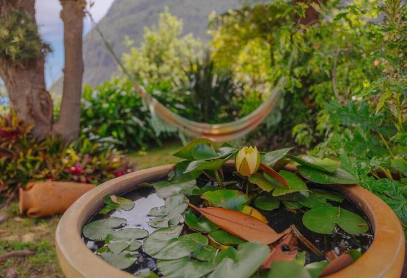 بنجلو قياسى مطلّ علي الحديقة, Madeira Surf Lodge