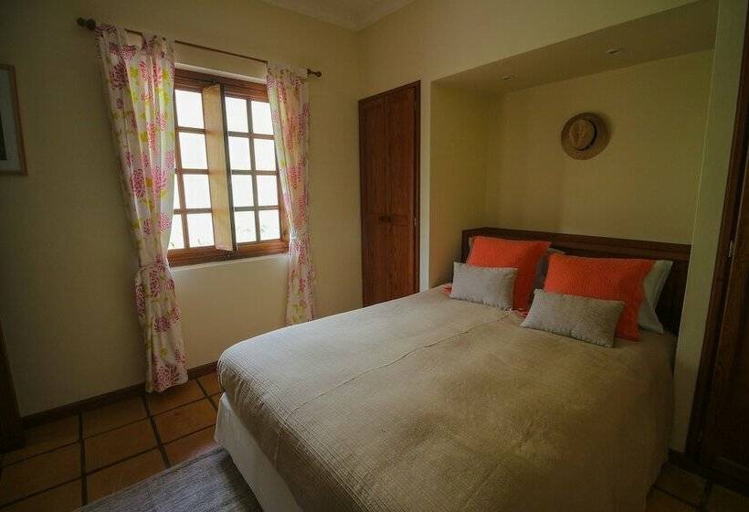 غرفة قياسية, Madeira Surf Lodge