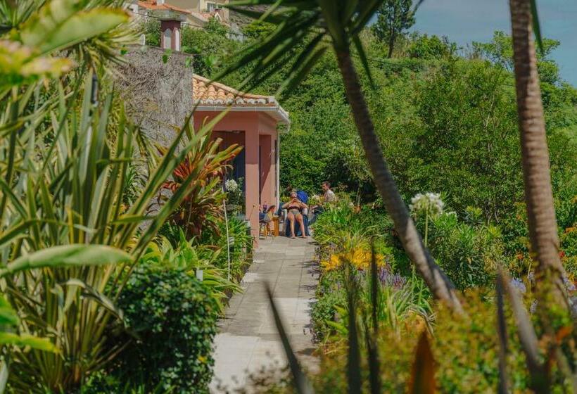 غرفة قياسية, Madeira Surf Lodge