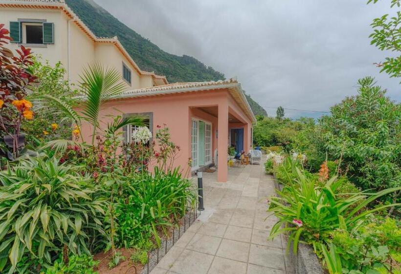 اتاق استاندارد, Madeira Surf Lodge