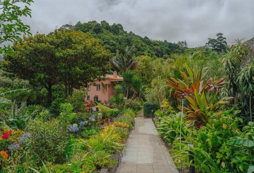 غرفة قياسية, Madeira Surf Lodge