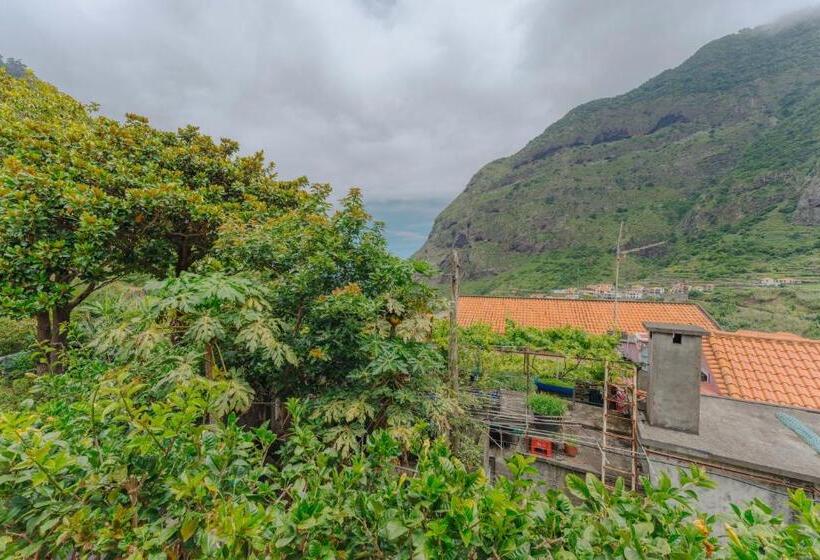 غرفة قياسية, Madeira Surf Lodge