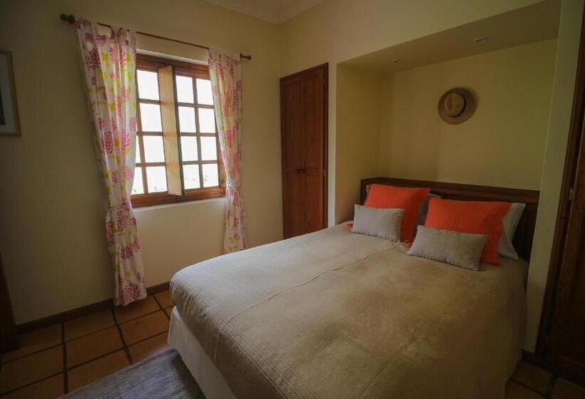 اتاق استاندارد, Madeira Surf Lodge