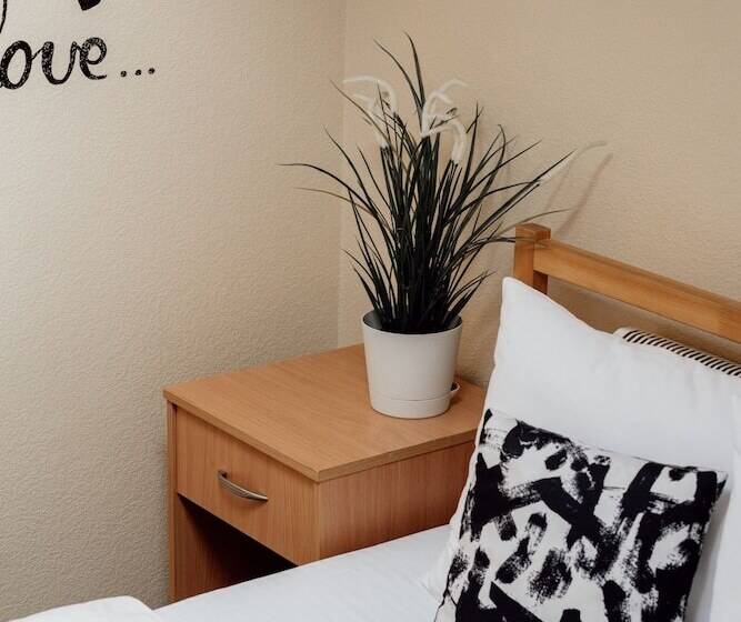 غرفة قياسية ذات أسقف منحدرة, White Hostel