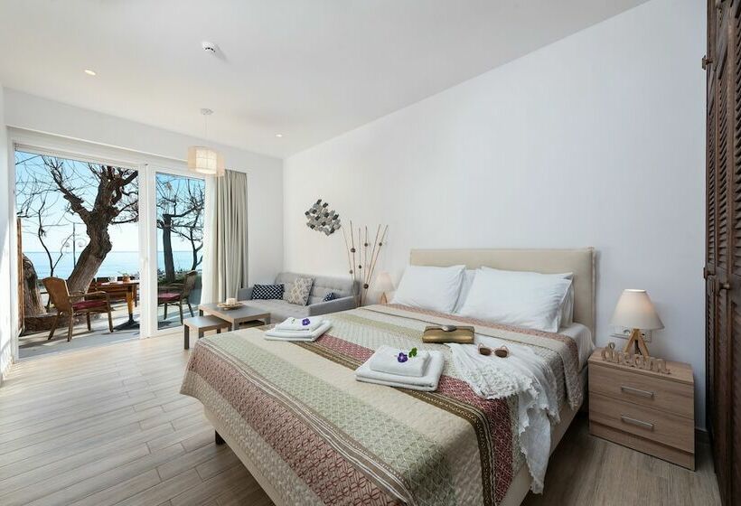 إستوديو ديلوكس, Stegna Dream