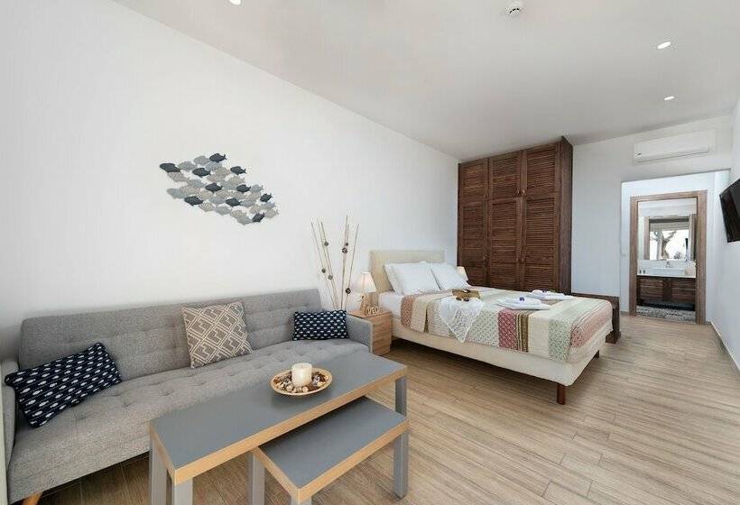 إستوديو ديلوكس, Stegna Dream