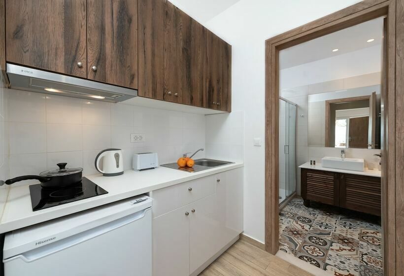 إستوديو ديلوكس, Stegna Dream